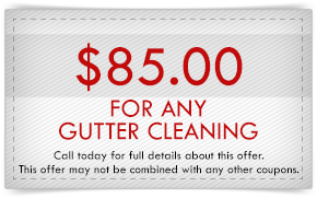 Busy Bee Construction Bergen County Contractors Gutter Cleaning