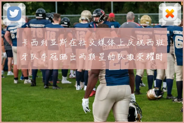 卡西利亚斯在社交媒体上庆祝西班牙队夺冠晒出两颗星的队徽荣耀时刻
